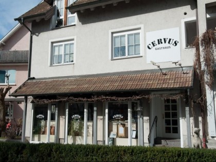 Foto: Cervus
